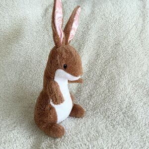 Kohls Cares I Will Always Be Your Bunny Rabbit Plush Stuffed Animal Toy